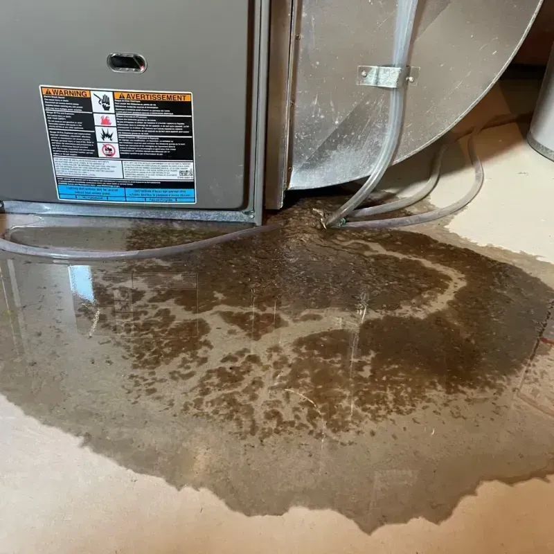 Appliance Leak Cleanup in Dodge County, MN